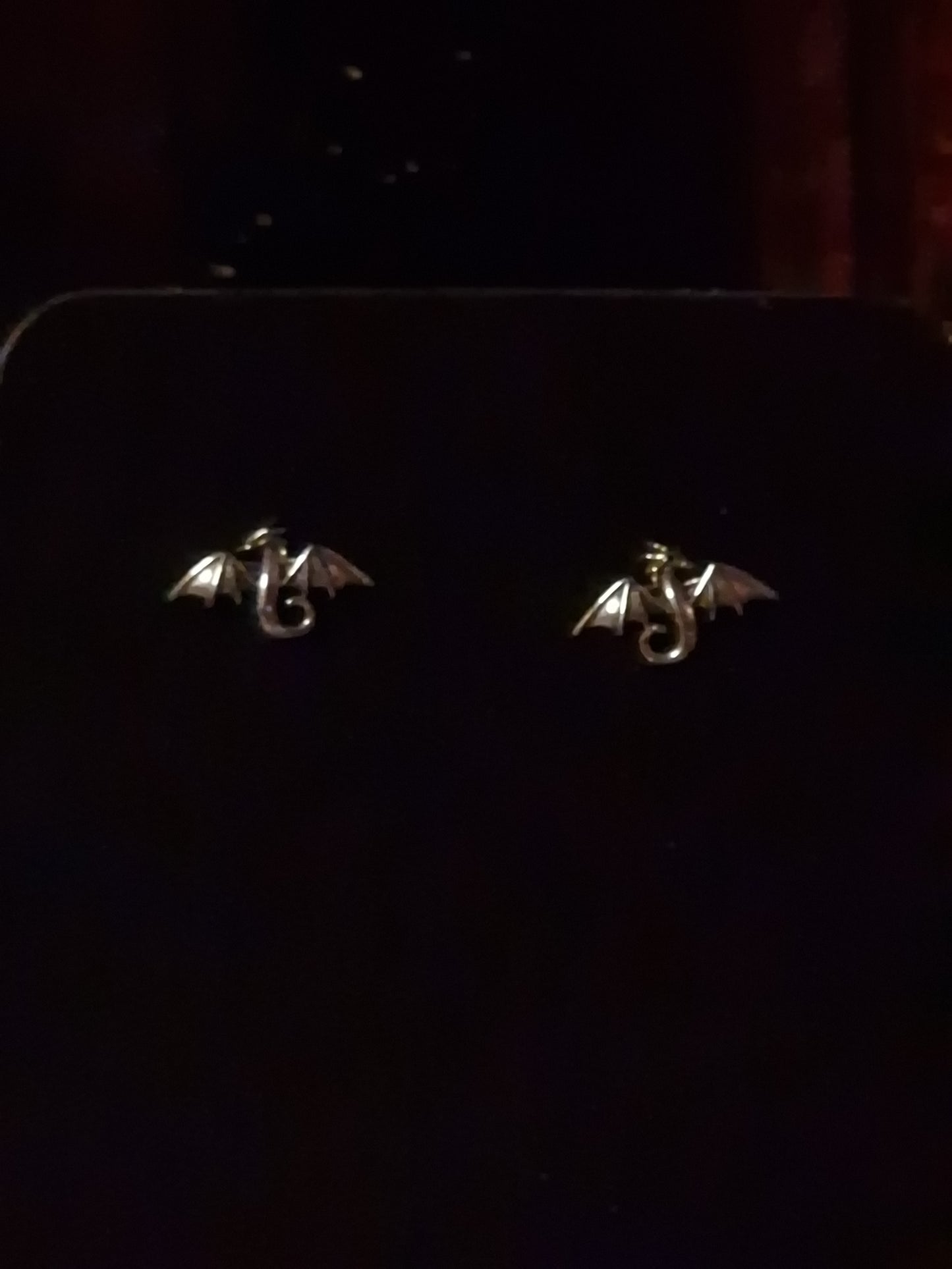 Drachenhüter – Wächter der Nacht