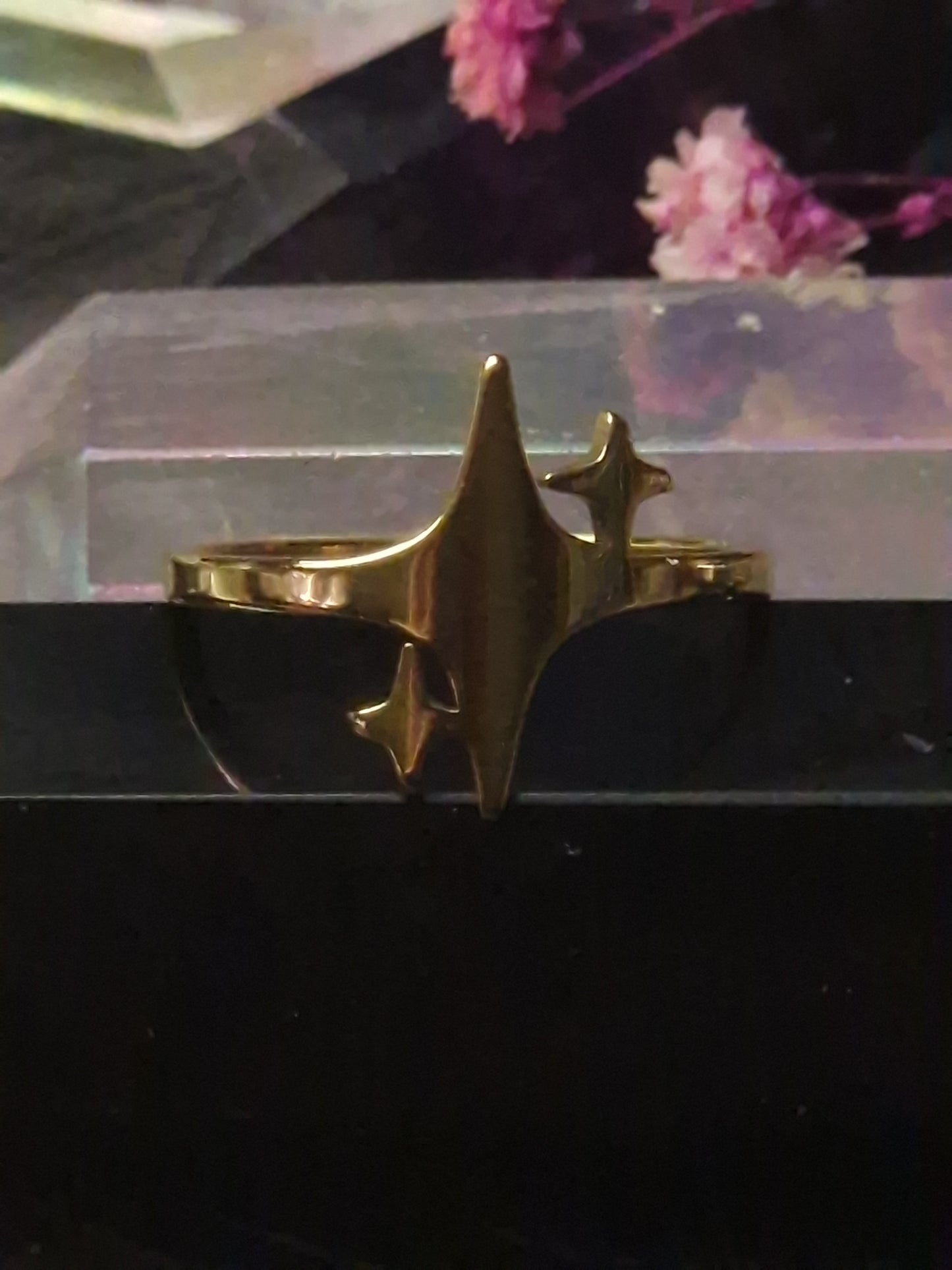 Stern Edelstahl Ring I gold & silber