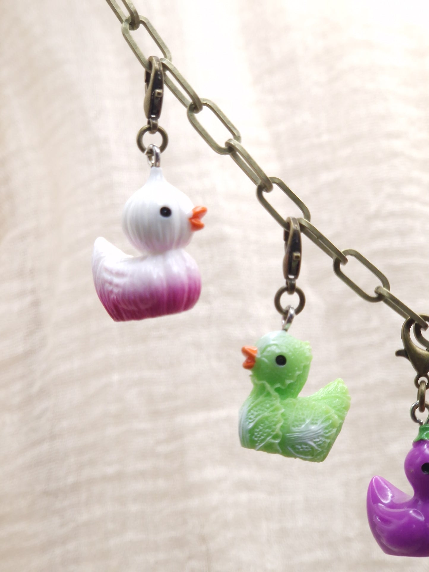 Gemüse Enten Charm