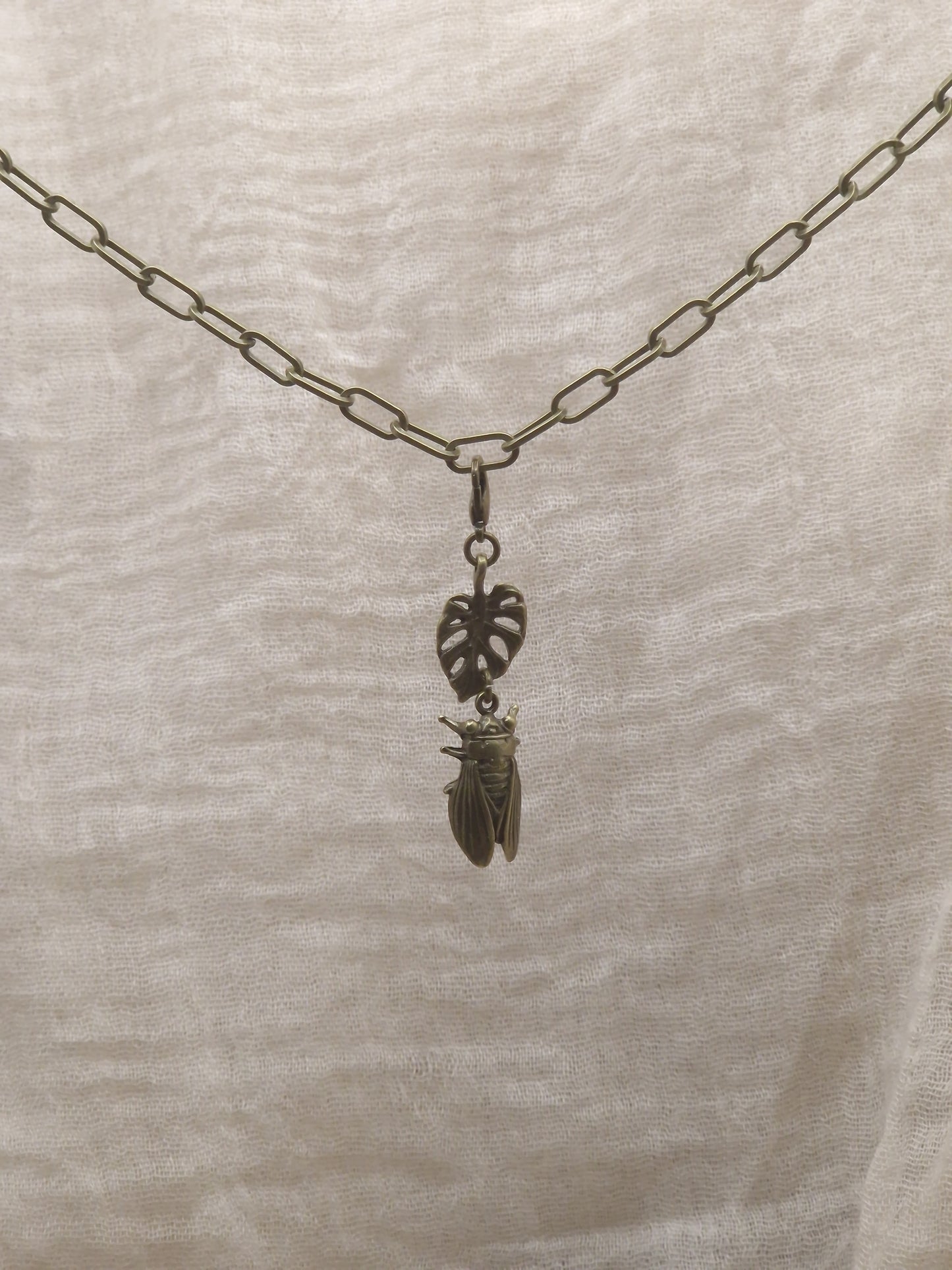 Zikarde mit Monstera Charm