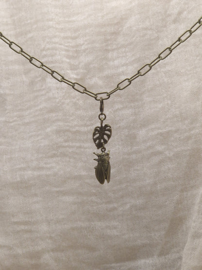 Zikarde mit Monstera Charm