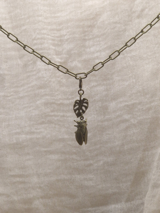 Zikarde mit Monstera Charm