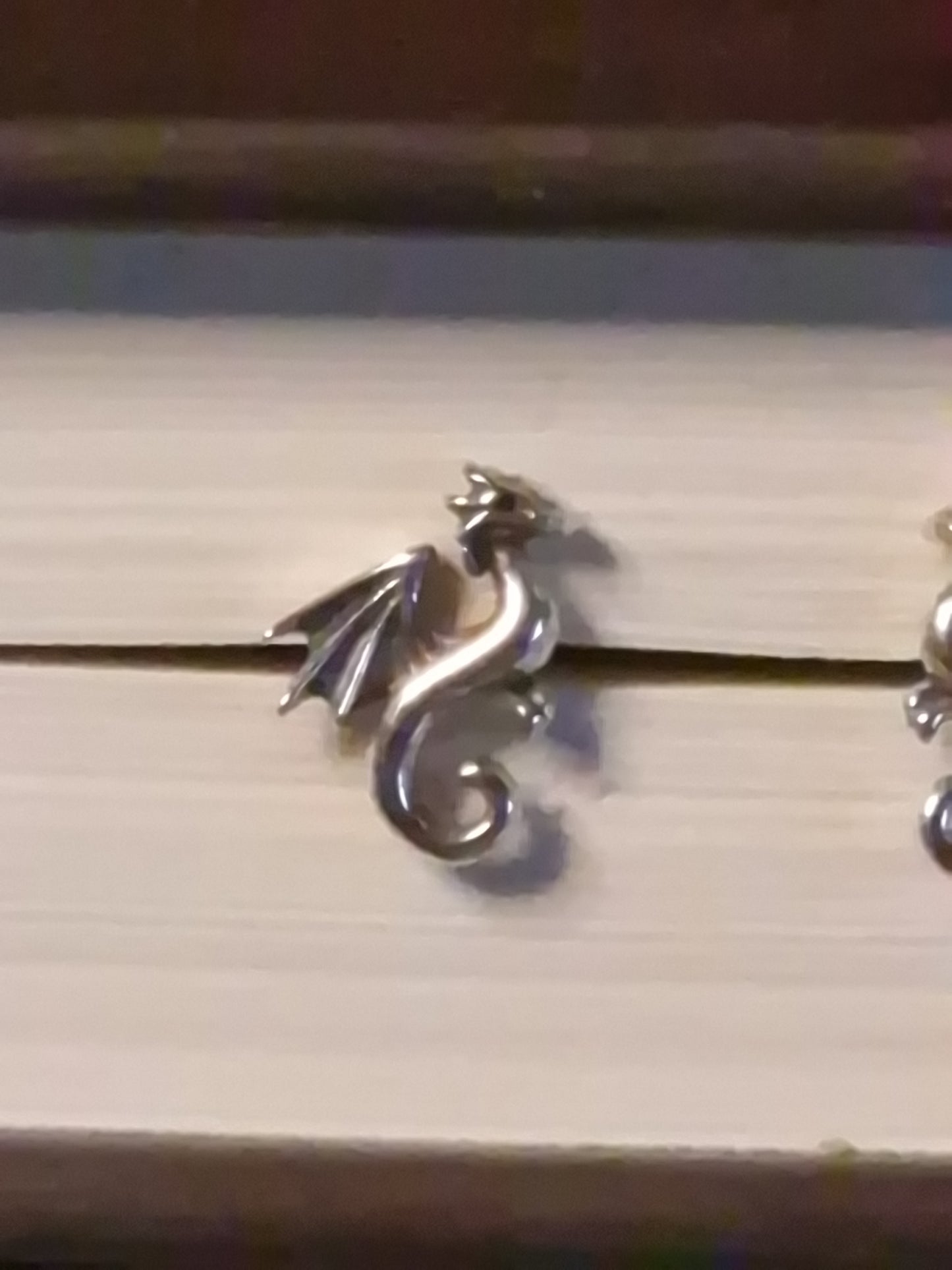 Silberdrache – Hüter der stillen Kraft