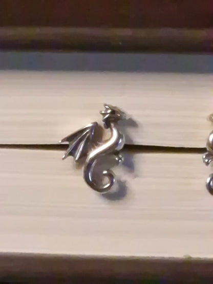 Silberdrache – Hüter der stillen Kraft