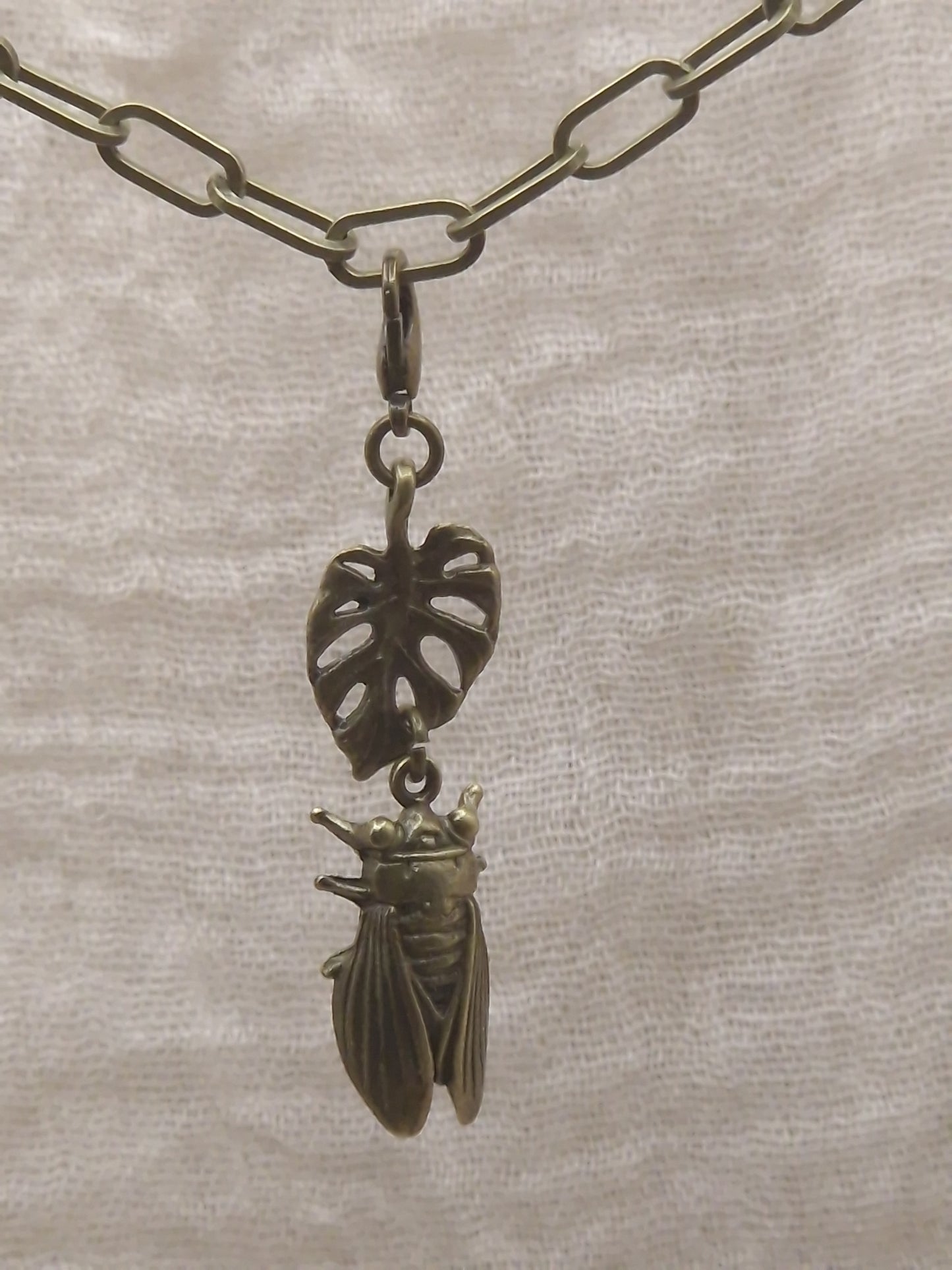 Zikarde mit Monstera Charm