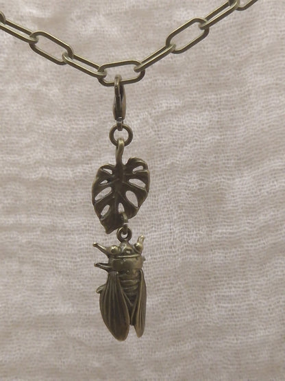 Zikarde mit Monstera Charm