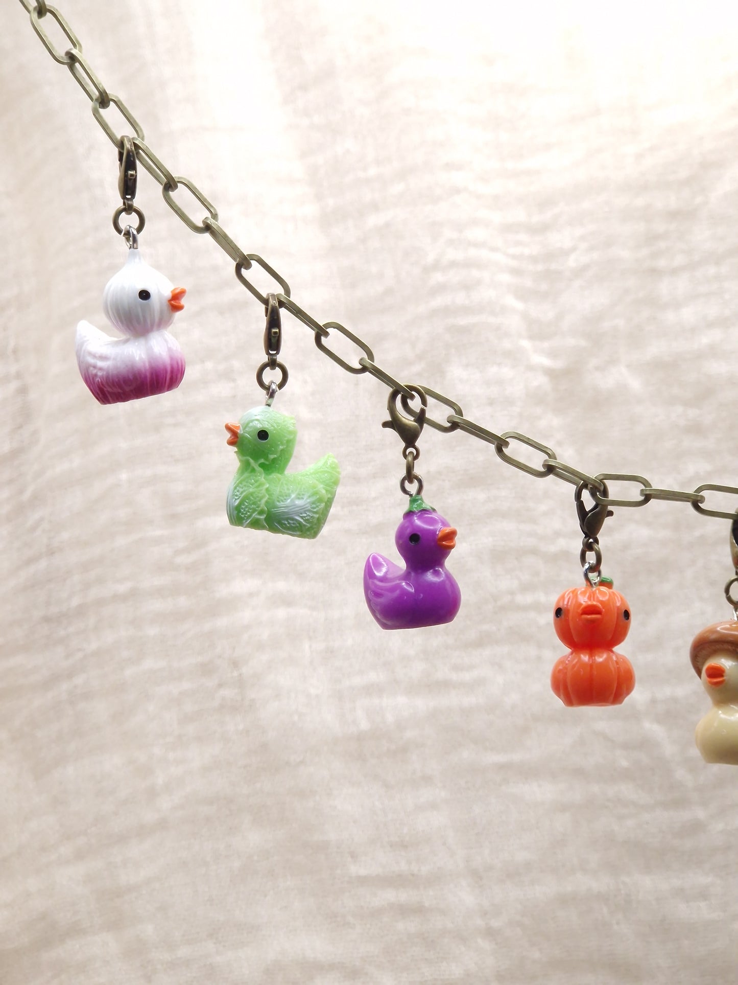 Gemüse Enten Charm